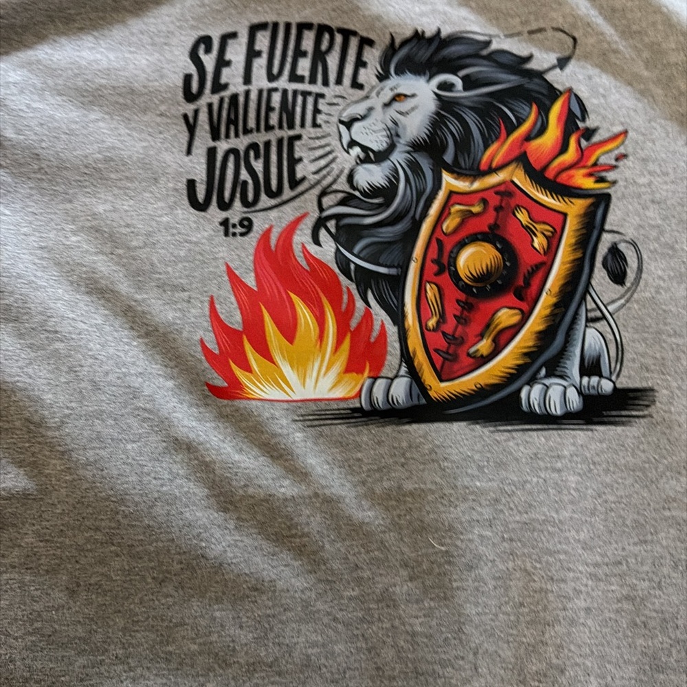 Gray Graphic T-Shirt with Lion and Shield Design